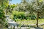 Market gardens and chicken house below the property